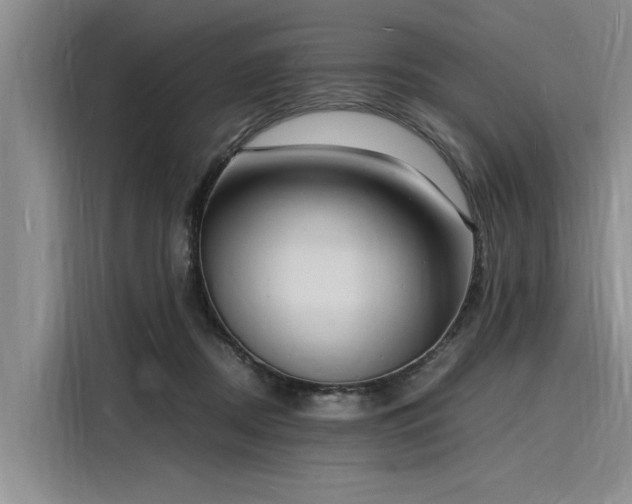 X0000116140362200911301525