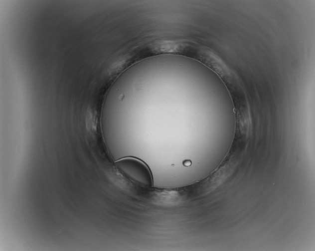 X0000116140374200911301525