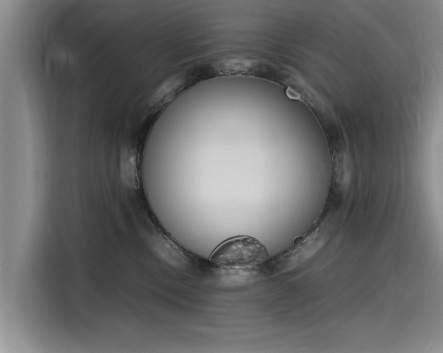 X0000116140378200911301525
