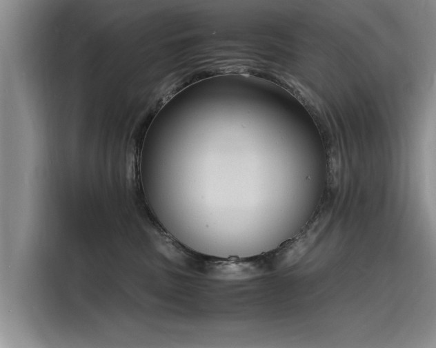 X0000116140379200911301525
