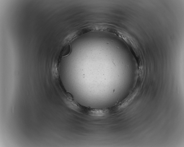X0000116140381200911301525
