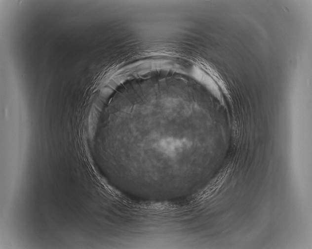 X0000116140385200911301525