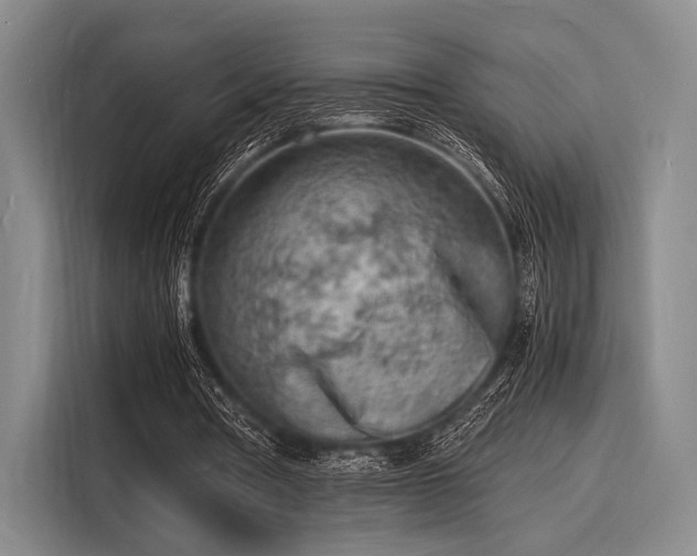X0000116140386200911301525