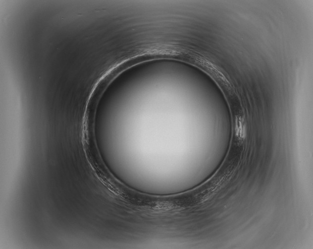 X0000116140388200911301525