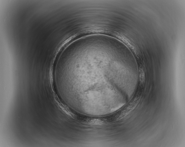X0000116140390200911301525