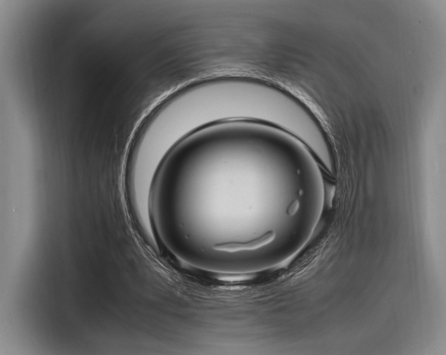 X0000116140391200911301525