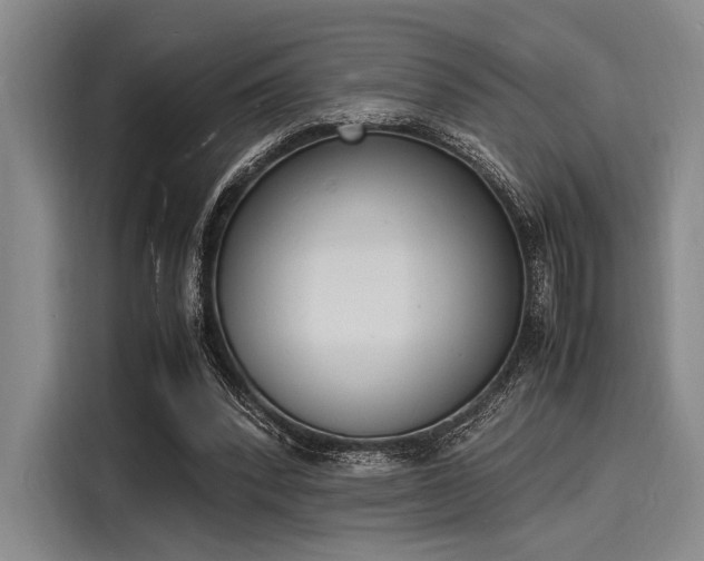 X0000116140392200911301525
