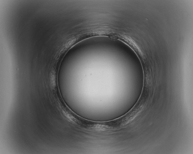 X0000116140393200911301525