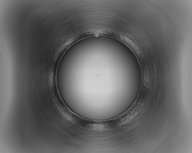 X0000116140394200911301525