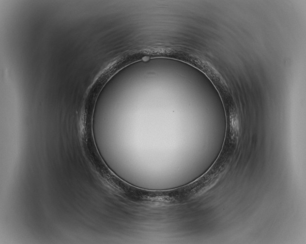 X0000116140396200911301525