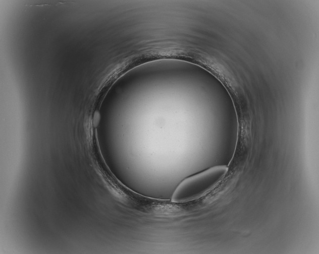 X0000116140397200911301525
