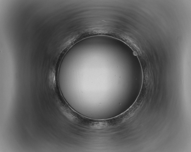 X0000116140398200911301525