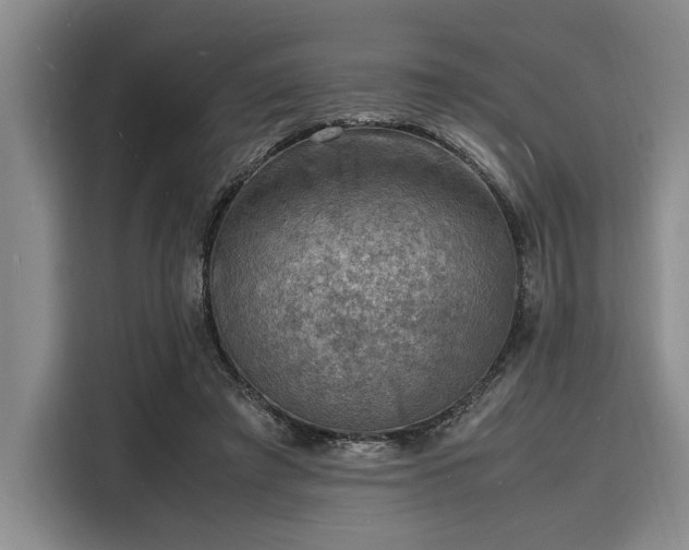 X0000116140401200911301525