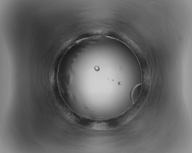 X0000116140403200911301525