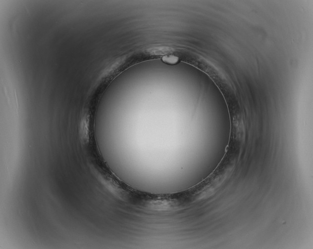 X0000116140404200911301525