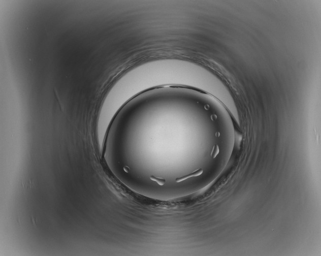 X0000116140405200911301525