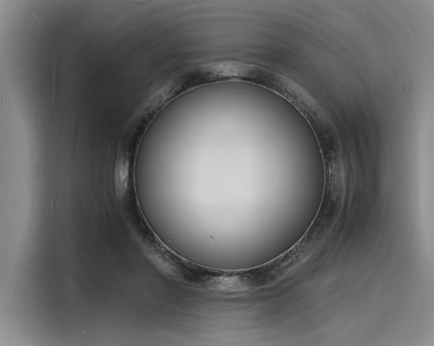 X0000116140406200911301525