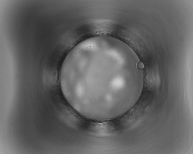 X0000116140411200911301525