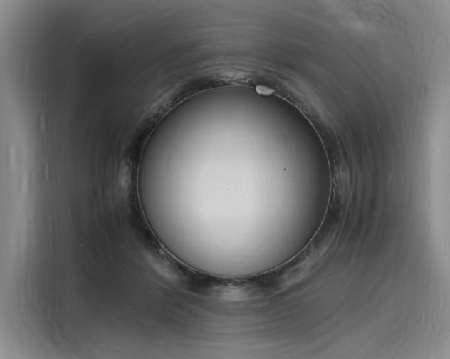 X0000116140412200911301524