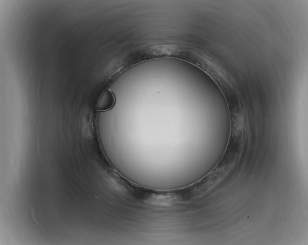 X0000116140414200911301524