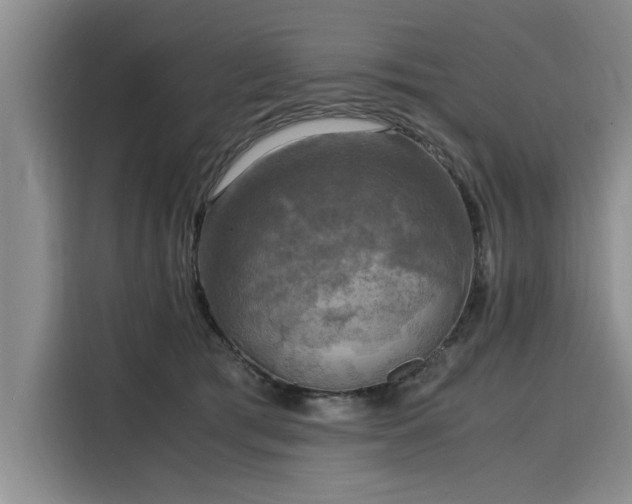 X0000116140417200911301524