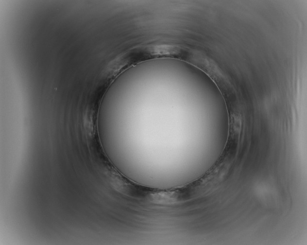 X0000116140422200911301524