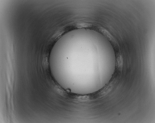 X0000116140426200911301524