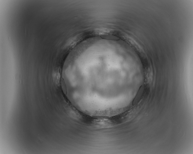 X0000116140427200911301524
