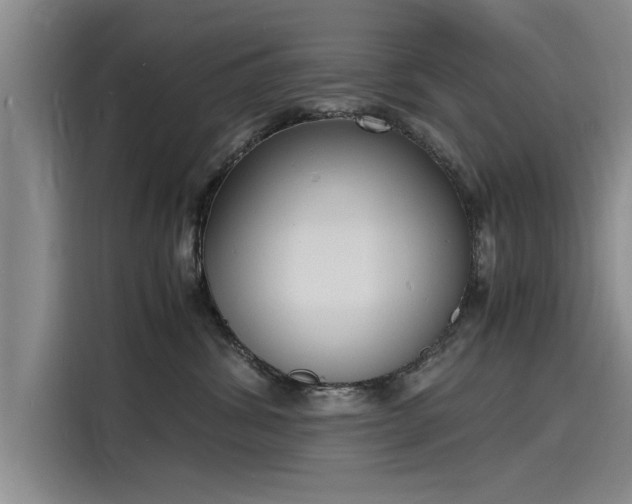 X0000116140428200911301524