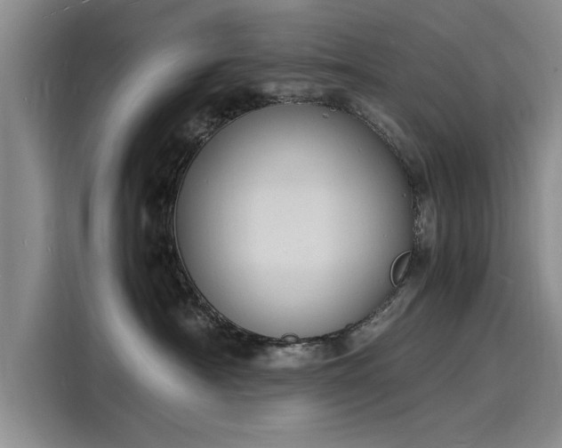 X0000116140430200911301524