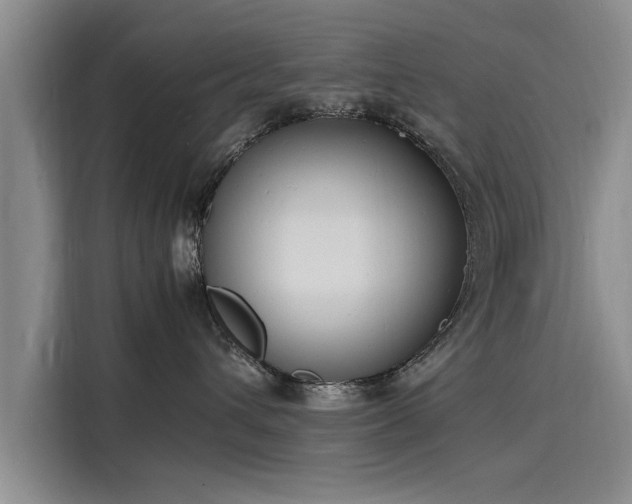 X0000116140432200911301524