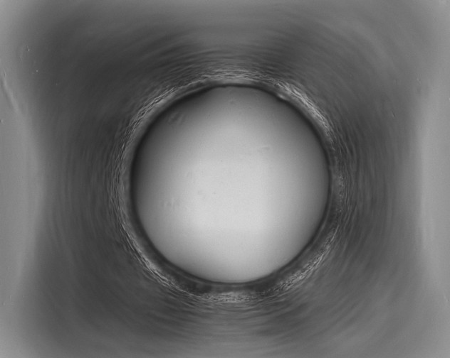 X0000116140433200911301524