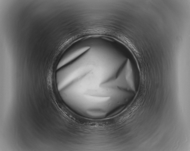 X0000116140434200911301524