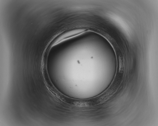 X0000116140435200911301524