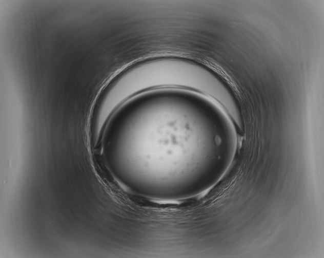 X0000116140436200911301524