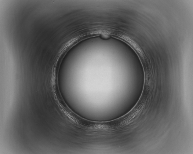 X0000116140437200911301524