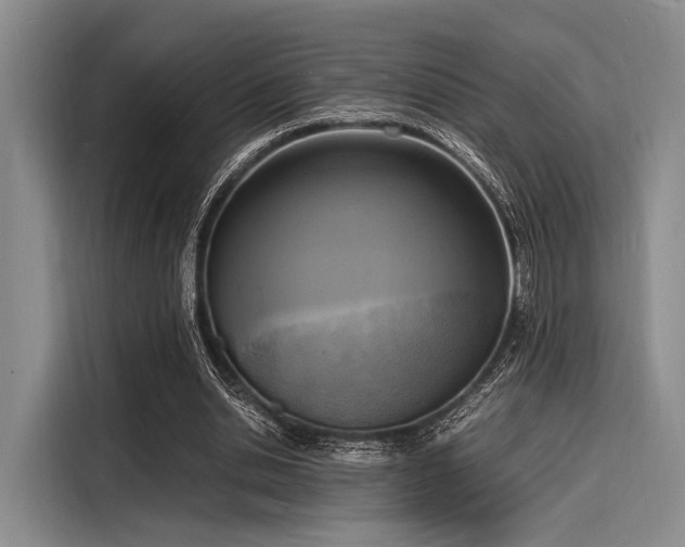 X0000116140438200911301524