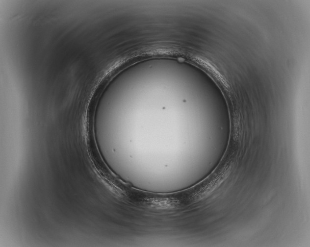 X0000116140439200911301524