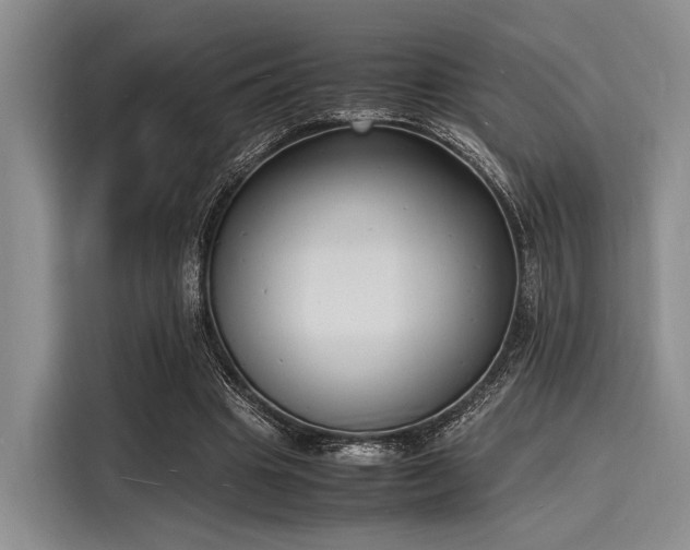 X0000116140441200911301524