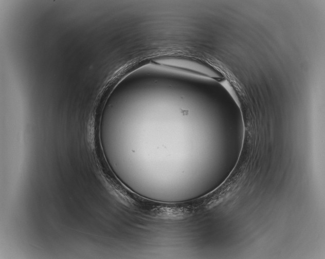 X0000116140442200911301524