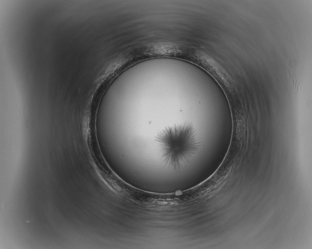 X0000116140443200911301524