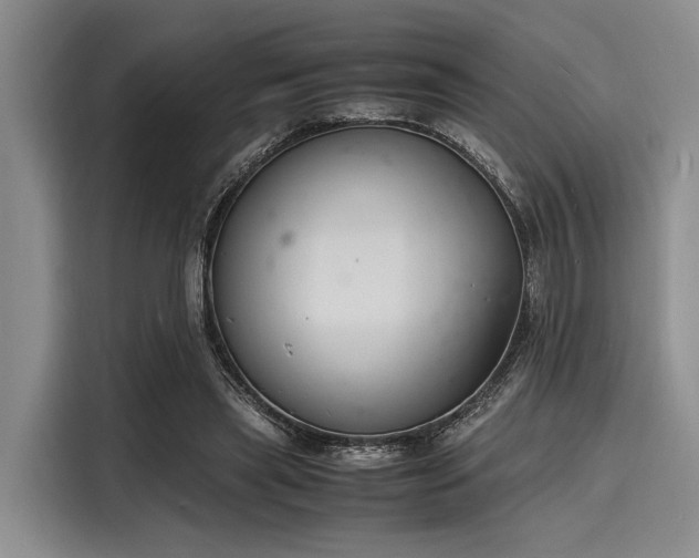 X0000116140445200911301524