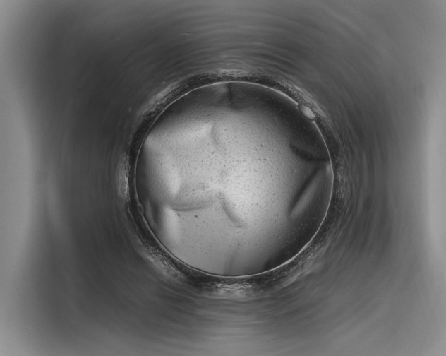 X0000116140446200911301524