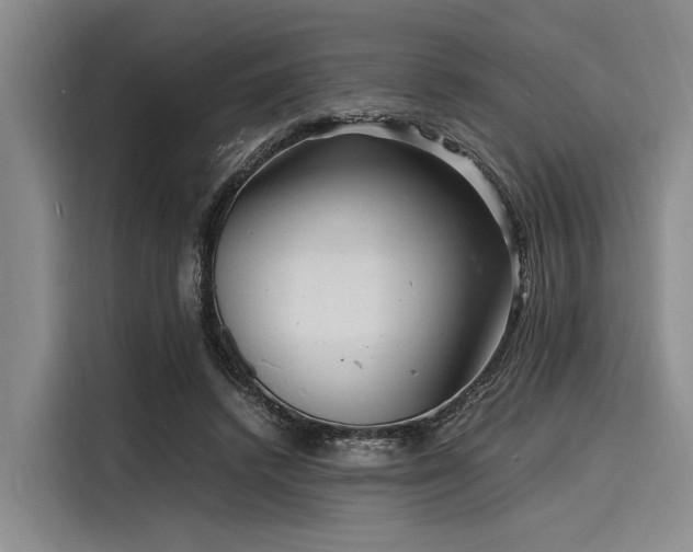 X0000116140448200911301524