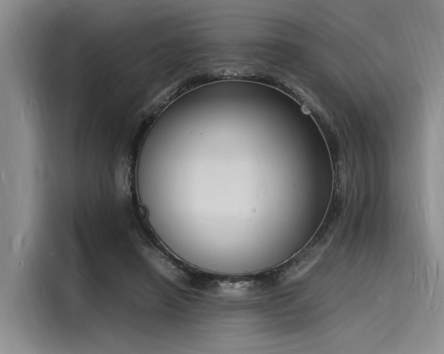 X0000116140450200911301524