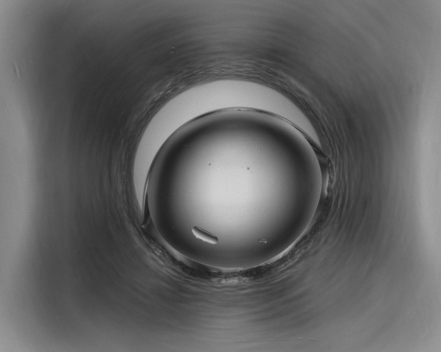 X0000116140452200911301524