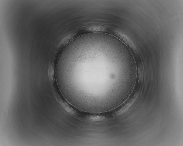X0000116140453200911301524