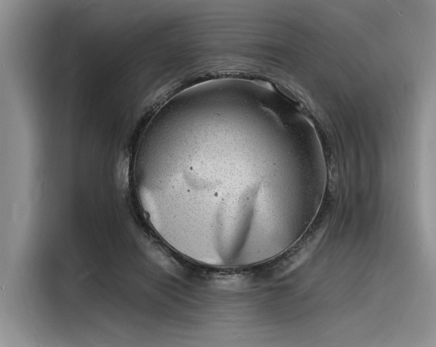X0000116140454200911301524