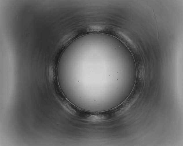 X0000116140455200911301524
