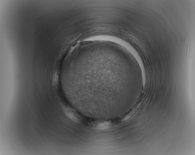 X0000116140456200911301524